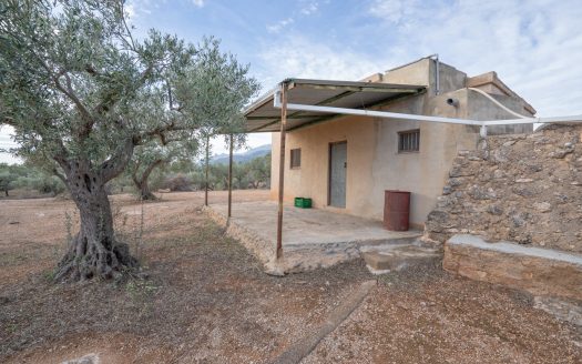 Olive-trees plot with a country house (780)