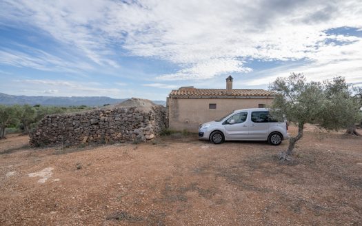 Olive-trees plot with a country house (780)