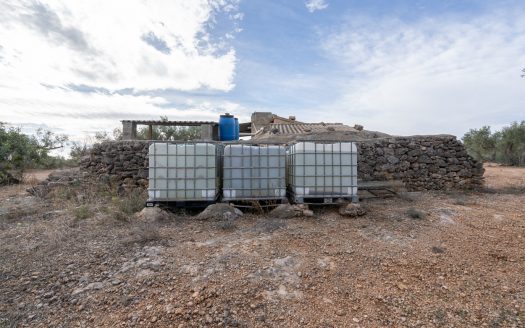 Olive-trees plot with a country house (780)