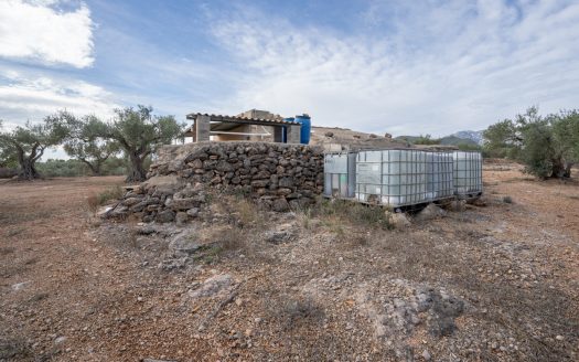 Olive-trees plot with a country house (780)