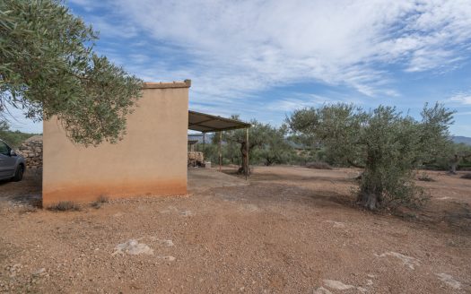 Olive-trees plot with a country house (780)