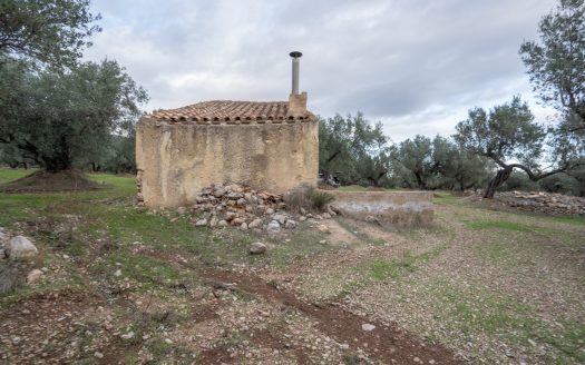 Ubicació bonica (783)