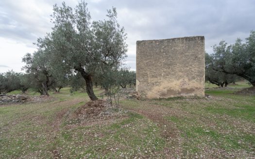 Ubicació bonica (783)