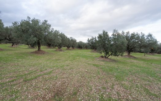 Ubicació bonica (783)
