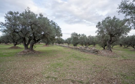 Ubicació bonica (783)