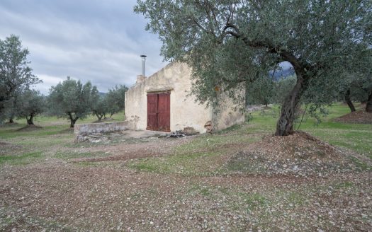 Ubicació bonica (783)
