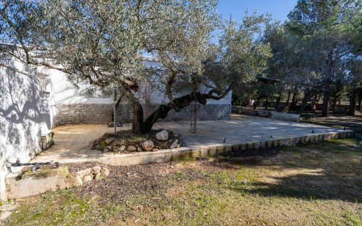 A country house refurbished (770)