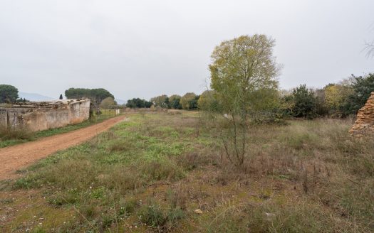 Semi-detached country house near the town (790)
