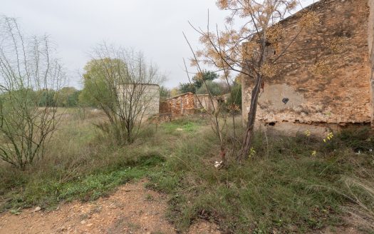 Semi-detached country house near the town (790)