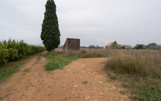Big plot of land near the town (791)