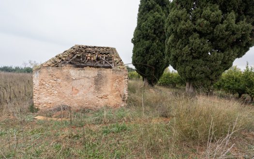 Big plot of land near the town (791)