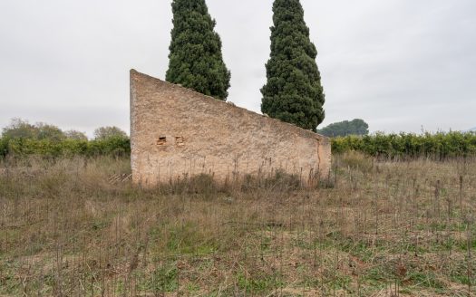 Big plot of land near the town (791)
