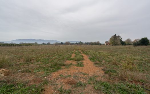 Big plot of land near the town (791)