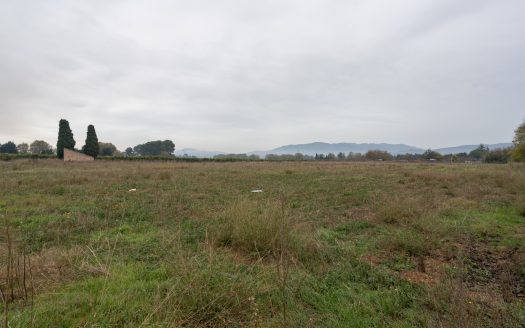 Big plot of land near the town (791)