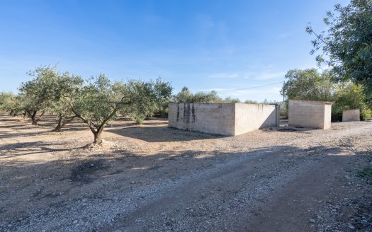 Flat land with irrigation water (796)