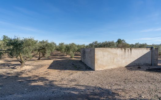 Flat land with irrigation water (796)