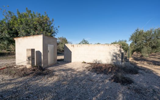 Flat land with irrigation water (796)
