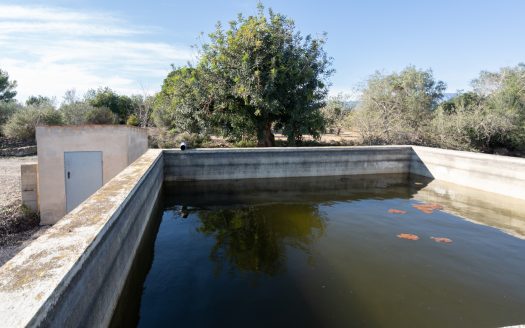 Flat land with irrigation water (796)