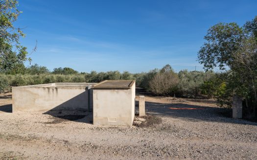 Flat land with irrigation water (796)
