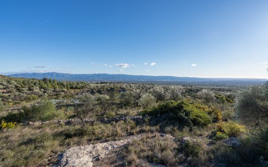 Una vista fantástica (809)