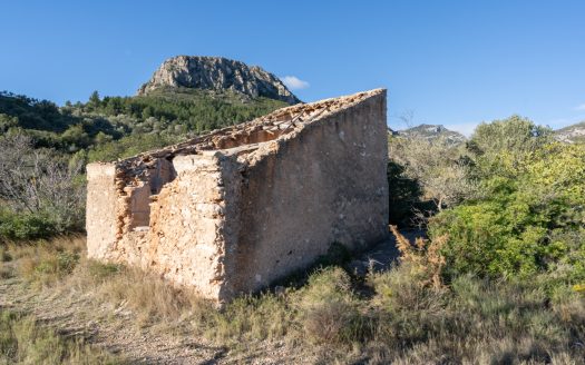 Una vista fantástica (809)
