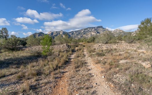 Gran ruïna per a reconstruir (810)