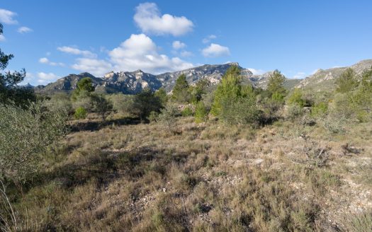 Gran ruïna per a reconstruir (810)