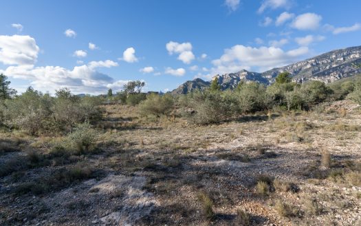 Gran ruïna per a reconstruir (810)