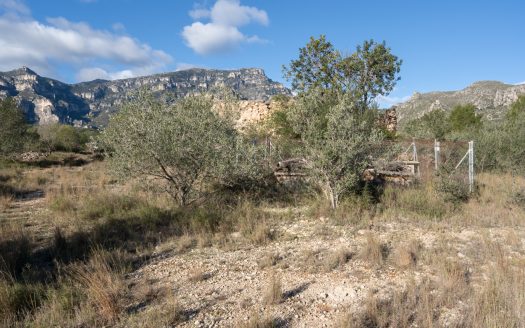 Gran ruïna per a reconstruir (810)