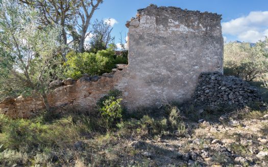 Gran ruïna per a reconstruir (810)