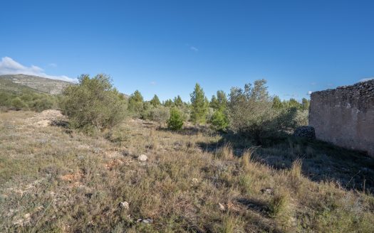 Gran ruïna per a reconstruir (810)