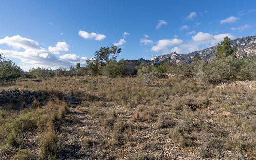 Gran ruïna per a reconstruir (810)