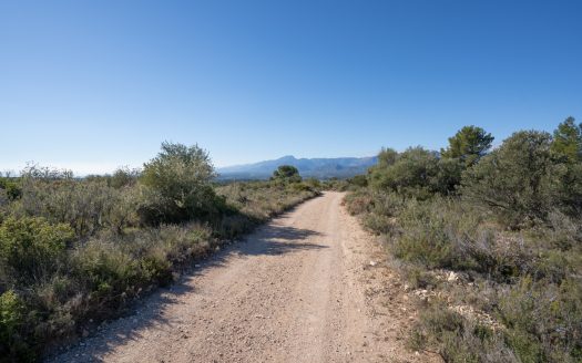 Finca sense cultiu (819)