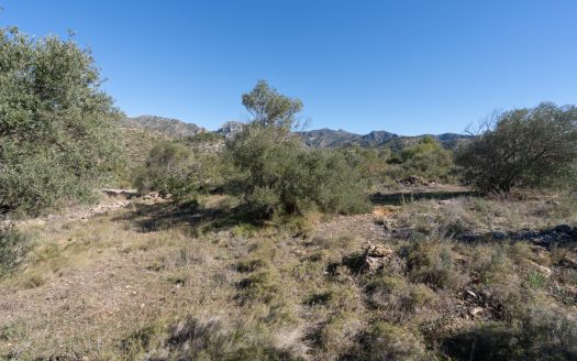 Finca sense cultiu (819)