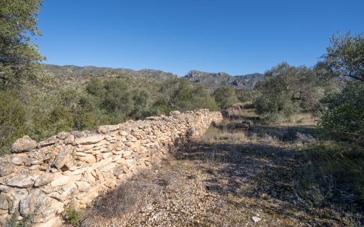 Finca sense cultiu (819)