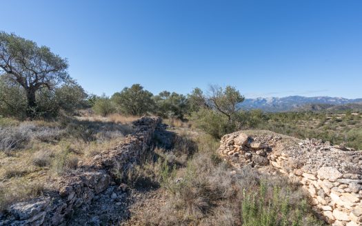 Finca sense cultiu (819)