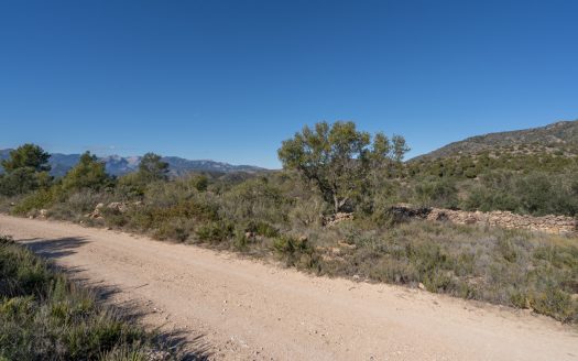 Finca sense cultiu (819)