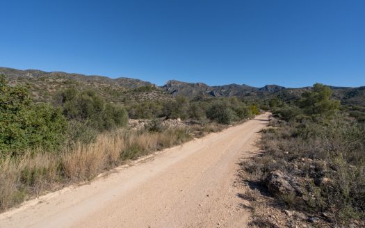 Finca sense cultiu (819)