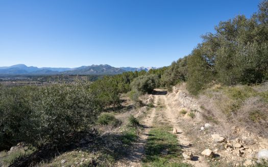 A ruin with a view (821)