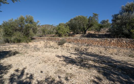 A ruin with a view (821)