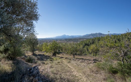 A ruin with a view (821)