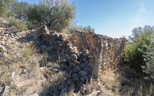 A ruin with a view (821)