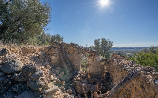 A ruin with a view (821)
