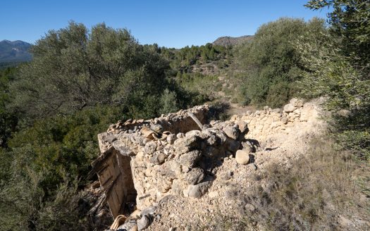 A ruin with a view (821)