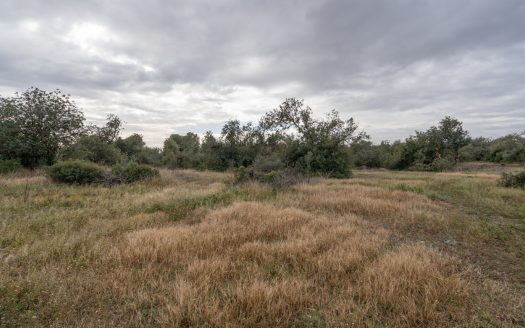 6 hectares near Tortosa (822)