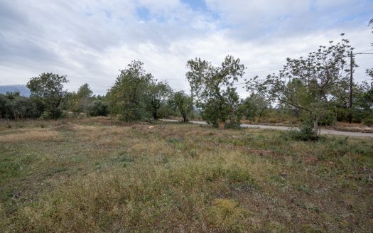 6 hectares near Tortosa (822)
