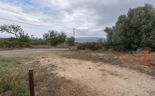 6 hectares near Tortosa (822)