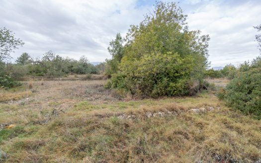 6 hectares near Tortosa (822)