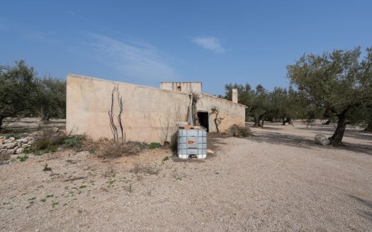 Well-tended plot of land (826)