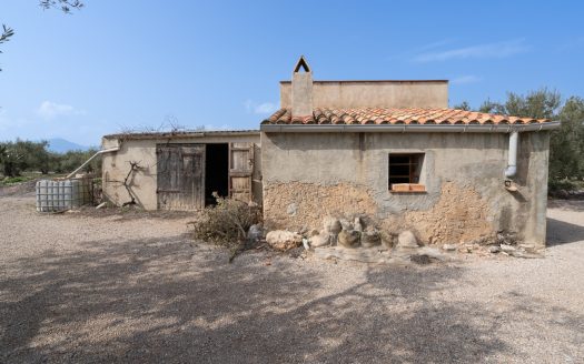Well-tended plot of land (826)